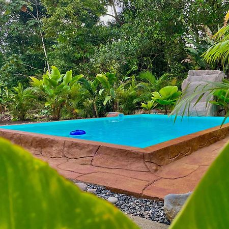 Iki Volcan Arenal With Jacuzzy La Fortuna Exteriör bild